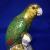 Amazon Green Parrot