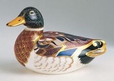 product/Mallard_Duck.jpg